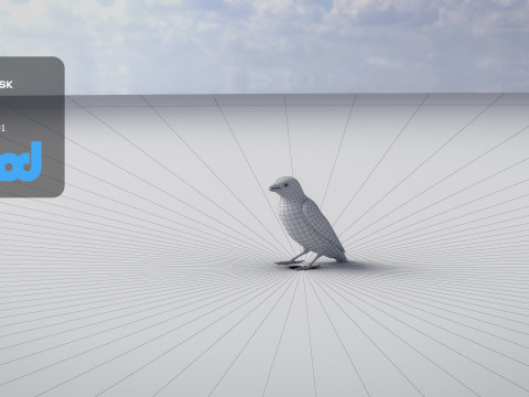 Sparrow 3Dモデル