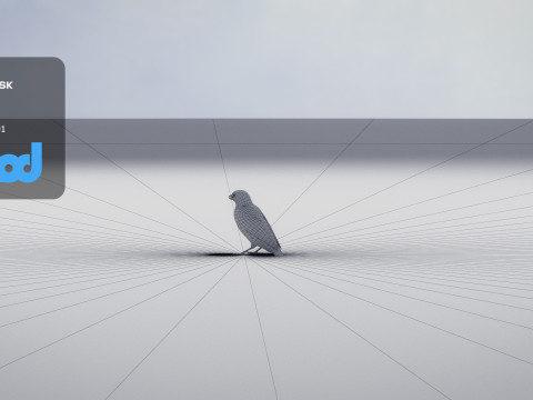Sparrow 3Dモデル
