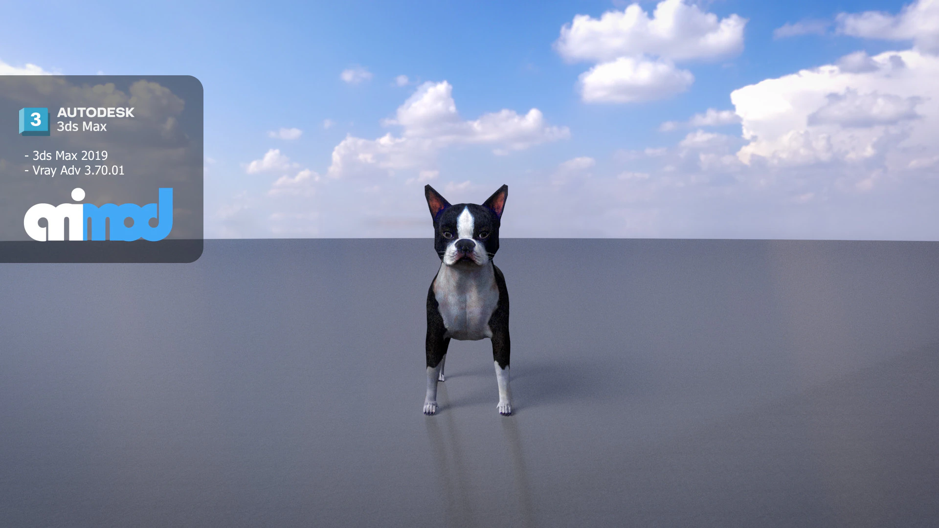 Boston Terrier Dog 3D Model .c4d .max .obj .3ds .fbx .stl .blend 