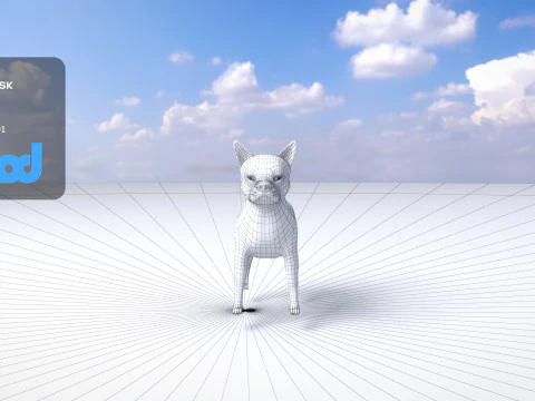 Boston Terrier Dog 3D Model