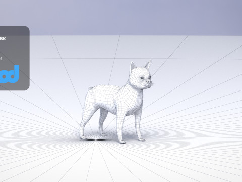 Boston Terrier Dog 3D मॉडल