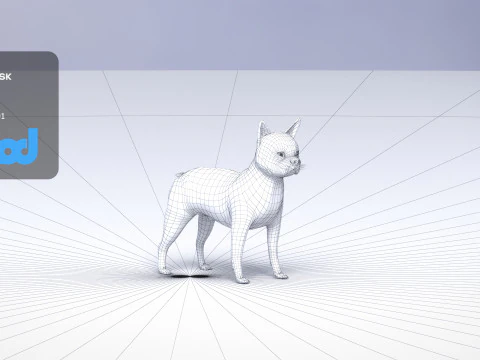 Boston Terrier Dog 3D Model