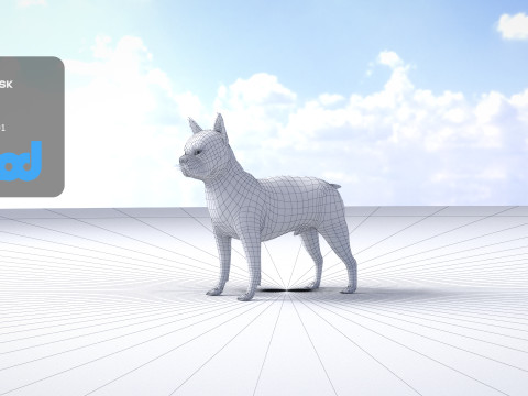 Boston Terrier Dog 3D मॉडल