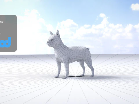Boston Terrier Dog 3D Model