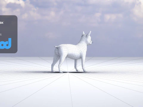 Boston Terrier Dog 3D Model