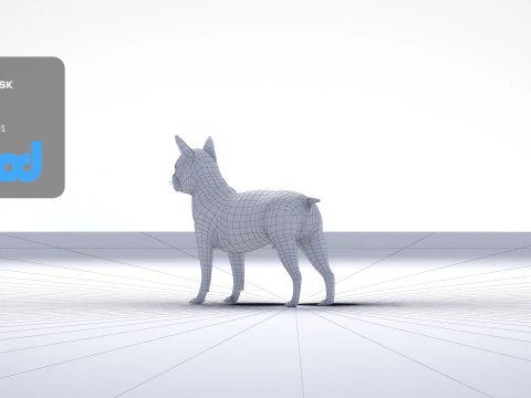 Boston Terrier Dog 3D Model