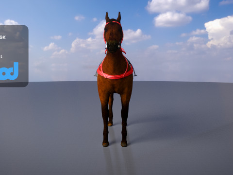 Racing Horse 3Dモデル