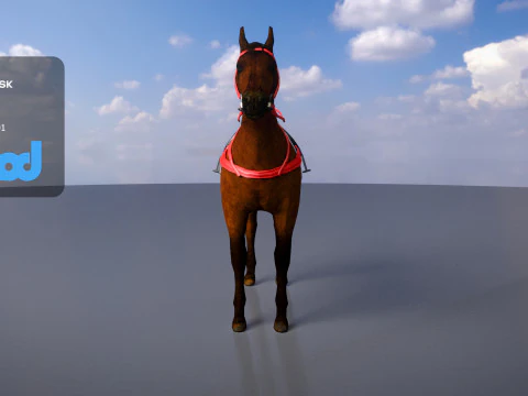 Racing Horse 3D Model