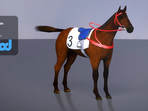 Cheval de course Modèle 3D