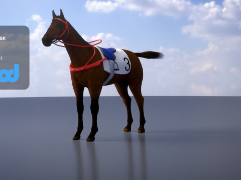 Racing Horse 3Dモデル