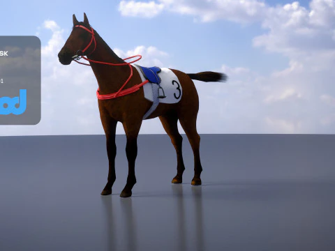 Racing Horse 3D Model
