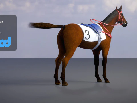 Racing Horse 3D Model