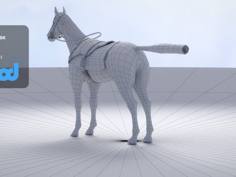 Racing Horse 3Dモデル