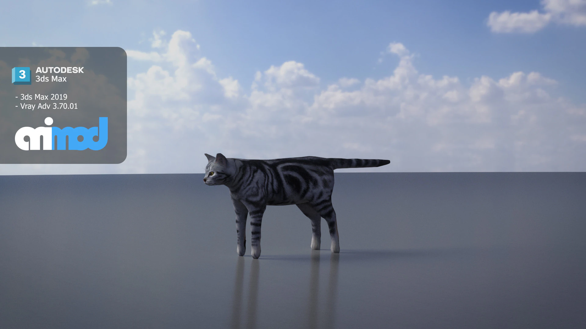 Cat American Shorthair 3D Model .c4d .max .obj .3ds .fbx .stl .blend