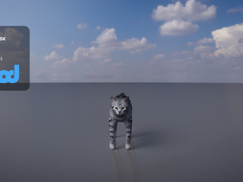 Cat American Shorthair 3D मॉडल
