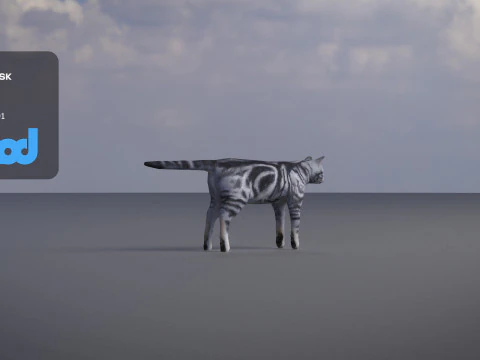 Cat American Shorthair 3D Model