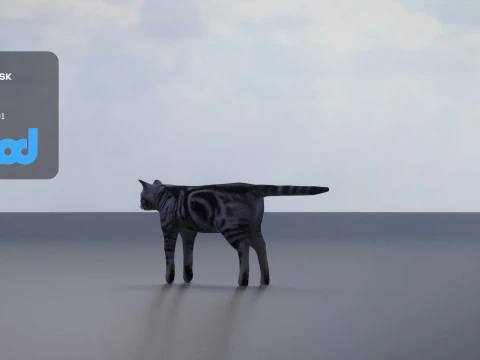 Cat American Shorthair 3D Model