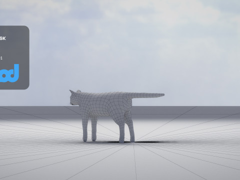 Cat American Shorthair 3D मॉडल