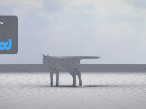 Cat American Shorthair 3D Model