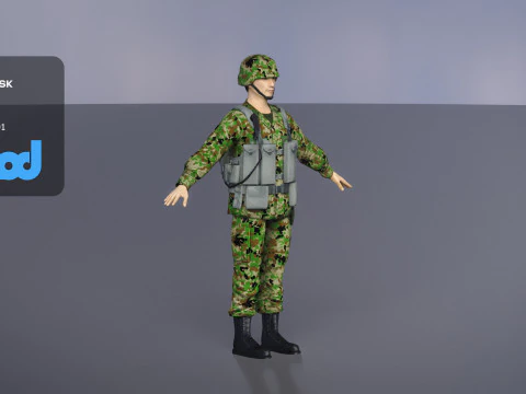 Japan Self Defense Force 0002 3D Model