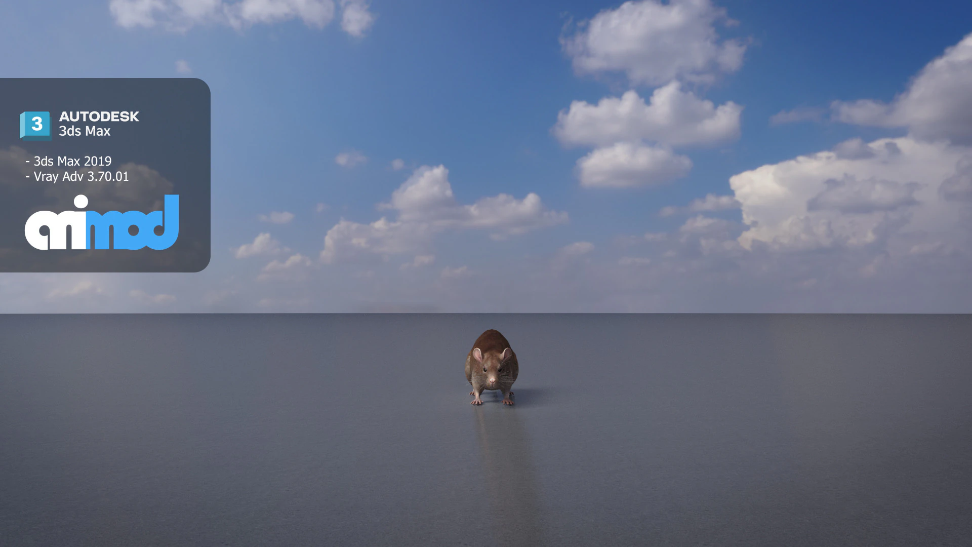 Rat 3D Model .c4d .max .obj .3ds .fbx .stl .blend 