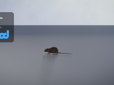 Rat 3D मॉडल