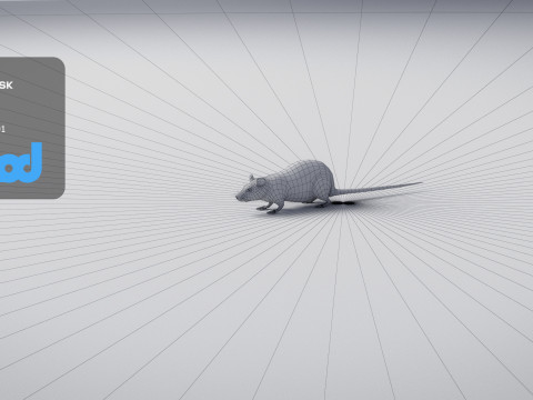 Rat 3D मॉडल