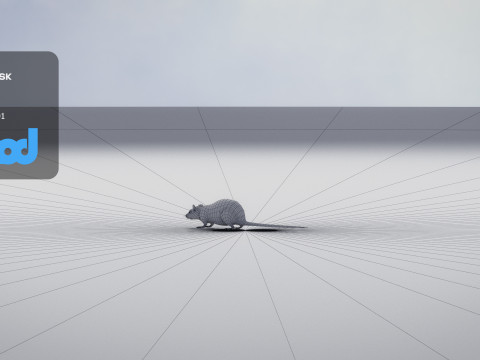 Rat 3D मॉडल