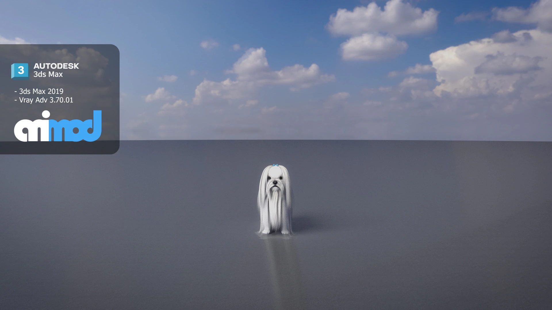 Maltese Dog 3D Model .c4d .max .obj .3ds .fbx .stl .blend 