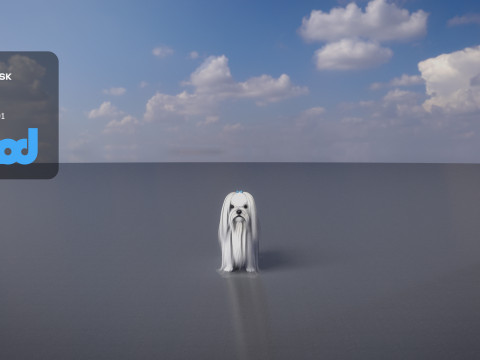 Maltese Dog 3Dモデル