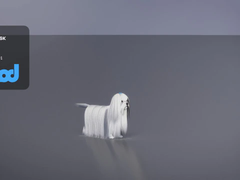 Maltese Dog 3D Model