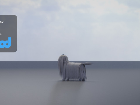 Maltese Dog Modello 3D