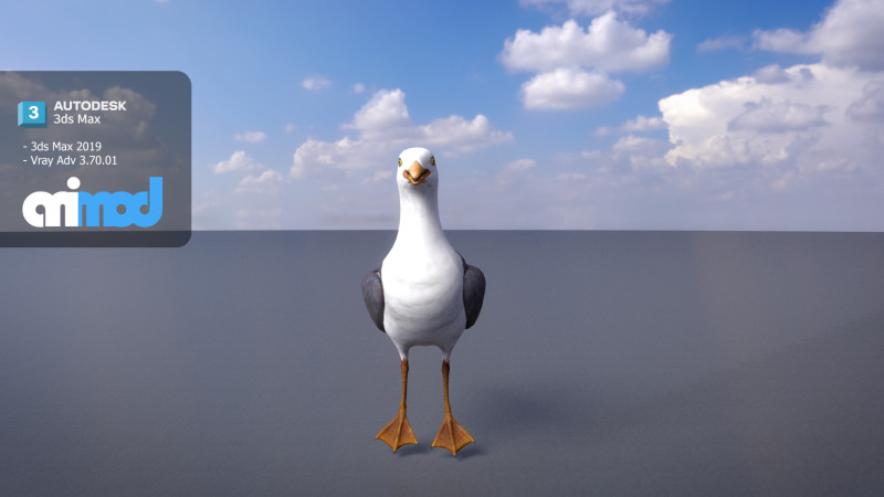 Seagull 3D Model .c4d .max .obj .3ds .fbx .stl .blend