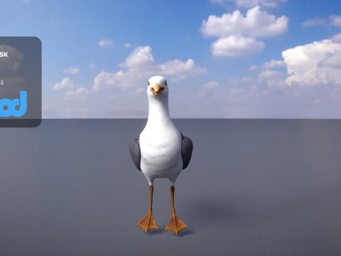 Seagull 3Dモデル