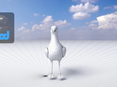 Seagull 3D Model