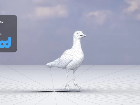 Seagull 3D Model