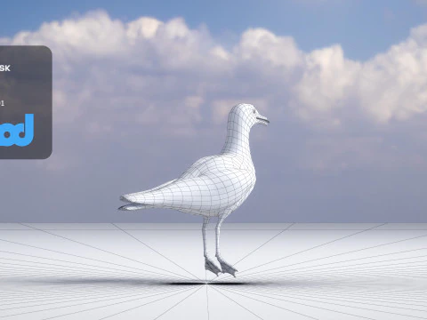Seagull 3D Model