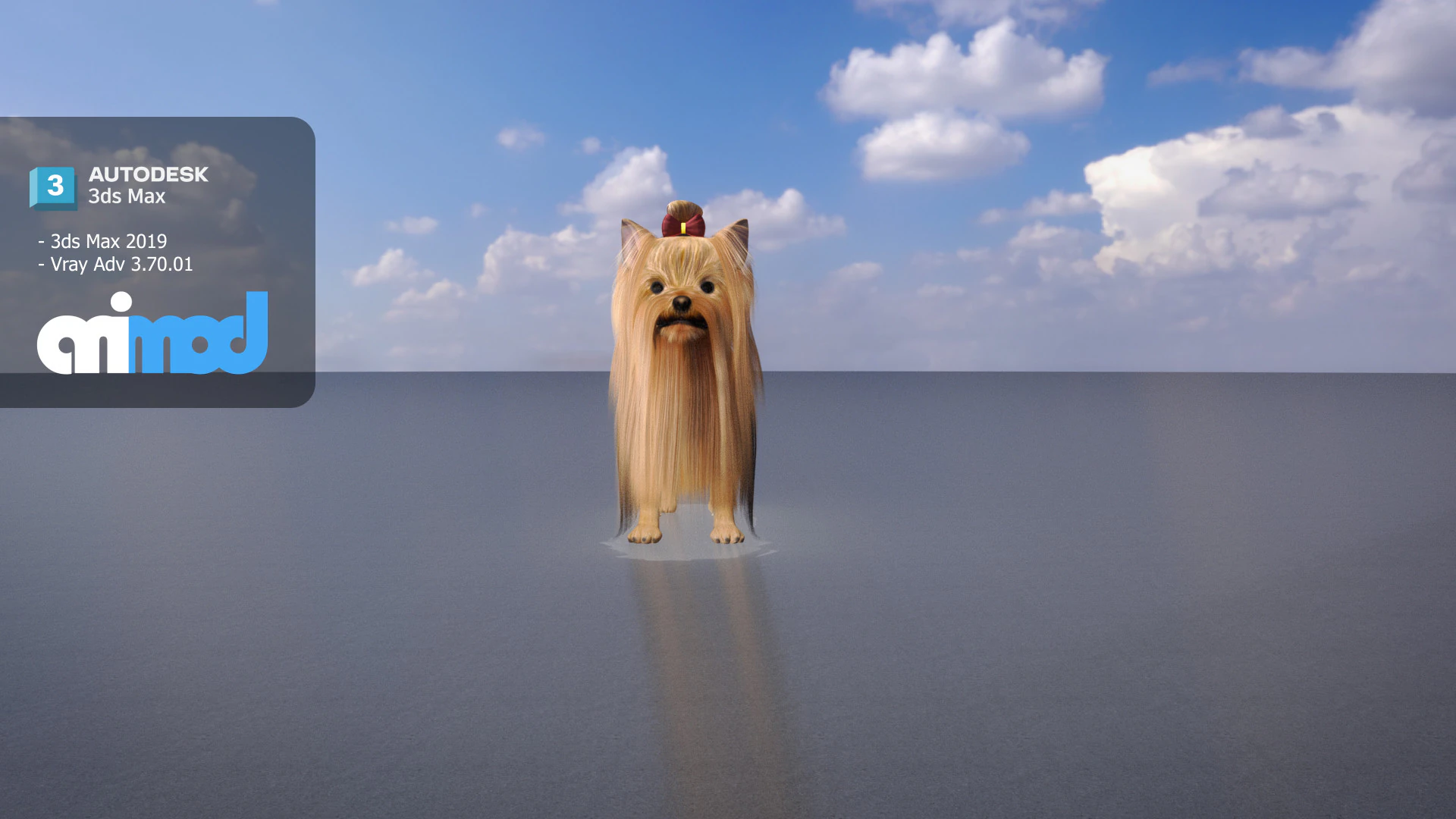 Yorkshire Terrier Dog 3D Model .c4d .max .obj .3ds .fbx .stl .blend