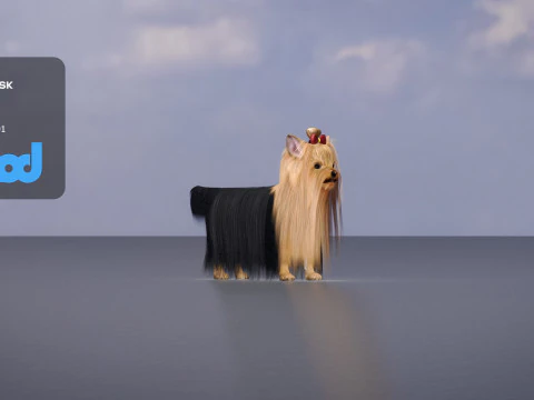 Yorkshire Terrier Dog 3D Model