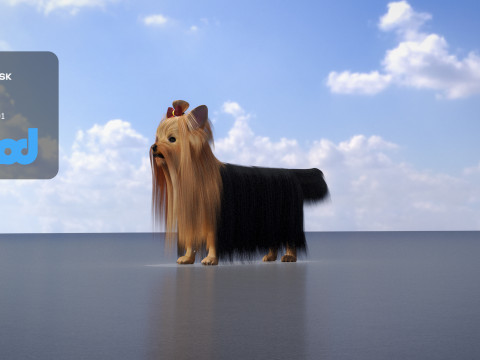 Yorkshire Terrier Dog 3Dモデル