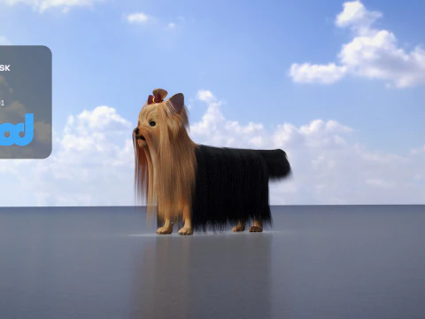 Yorkshire Terrier Dog 3D Model