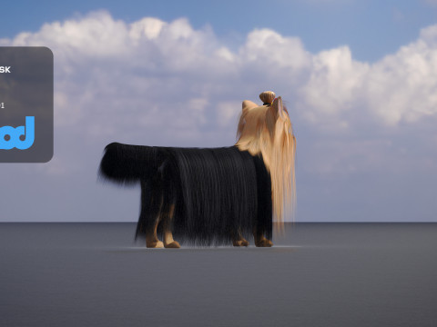Yorkshire Terrier Dog 3Dモデル