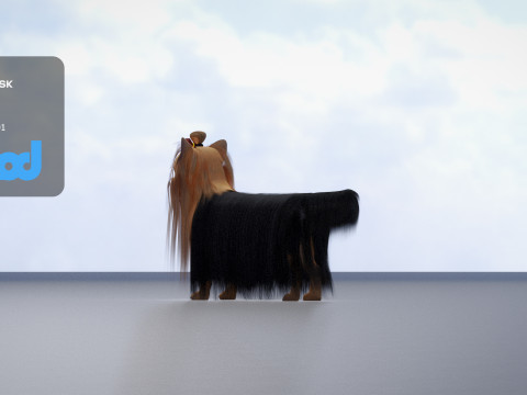 Yorkshire Terrier Dog 3Dモデル