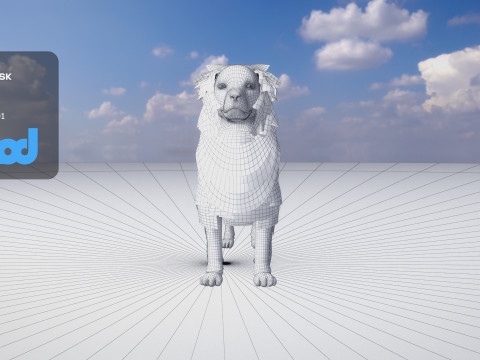 Border Collie Bordernese Dog Modèle 3D