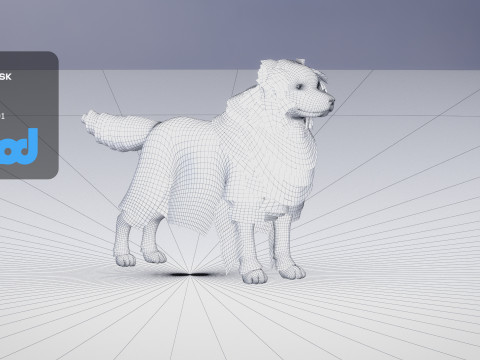 Border Collie Bordernese Dog Modèle 3D