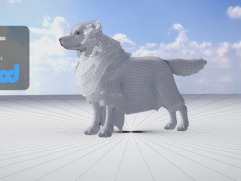 Border Collie Bordernese Dog 3D Model