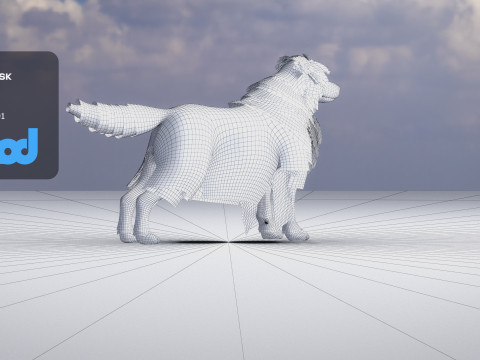 Border Collie Bordernese Dog Modèle 3D