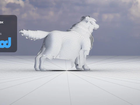 Border Collie Bordernese Dog 3D Model