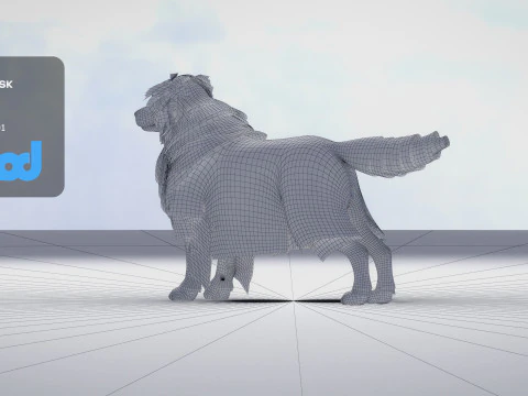 Border Collie Bordernese Dog 3D Model