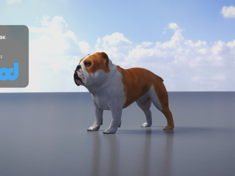 Bulldog 3Dモデル